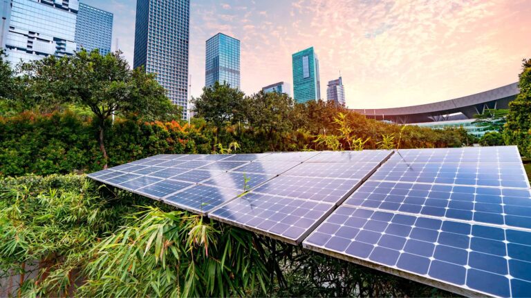 The Growing Demand for Renewable Energy Consultants